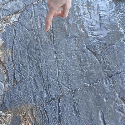 Angelicas Kassos Paths 5