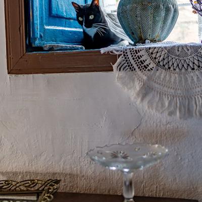 Angelicas Paradosiako Spiti 271