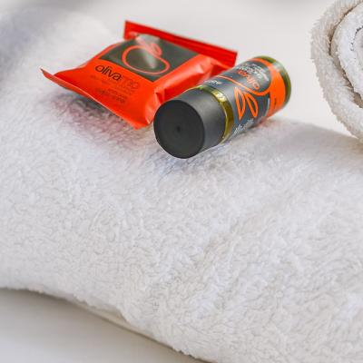 Angelicas Apartment 2 22